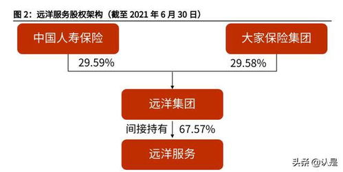 遠洋服務(wù)研究報告 品質(zhì)立身,中高端服務(wù)優(yōu)勢凸顯