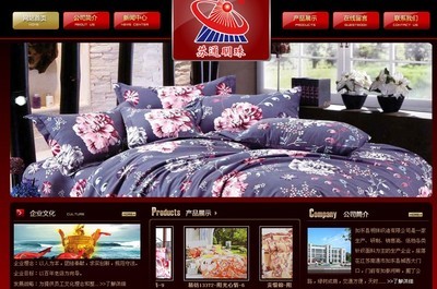 南通網(wǎng)站建設(shè)案例_中企動力南通分公司